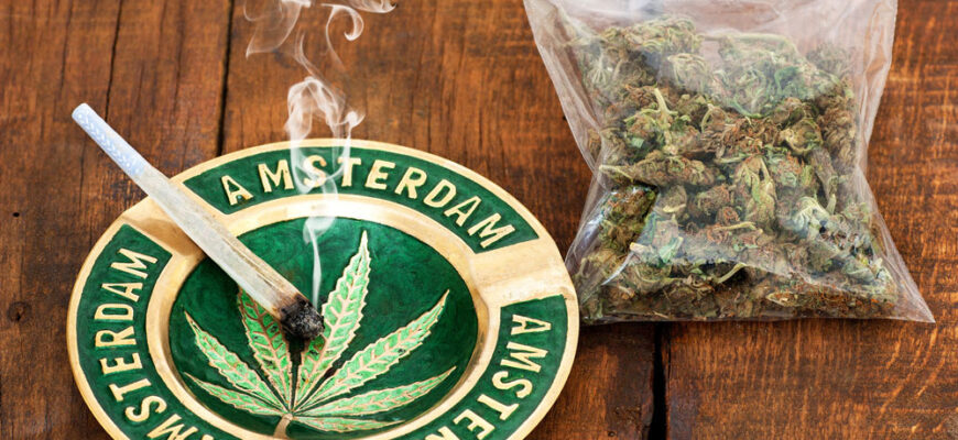 марихуана легализована в амстердаме